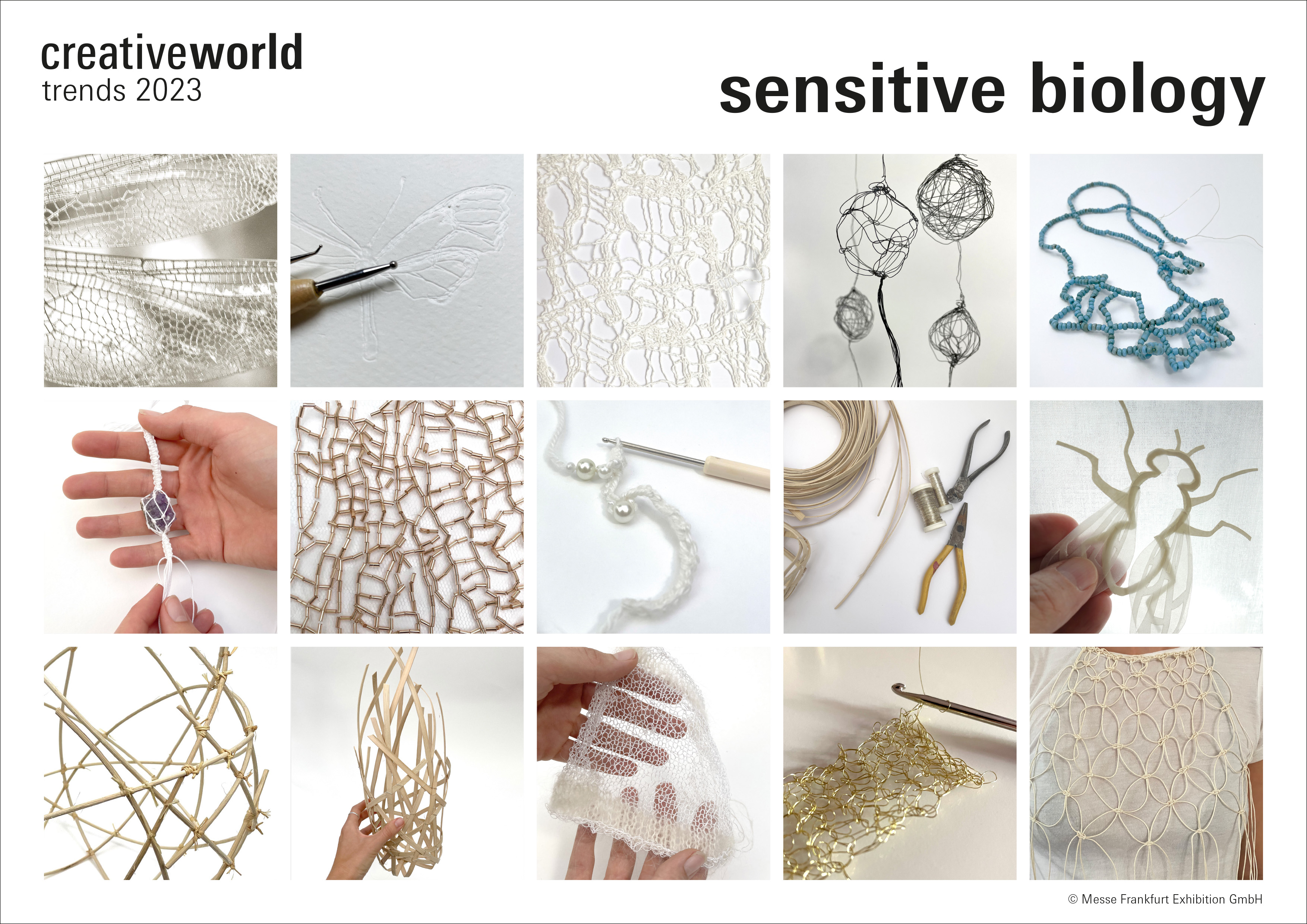 Creativeworld Trends 23+: Sensitive Biology
